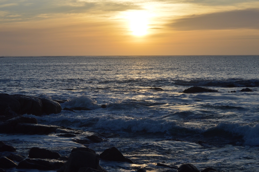 0 Bedroom Property for Sale in Steenbergs Cove Western Cape